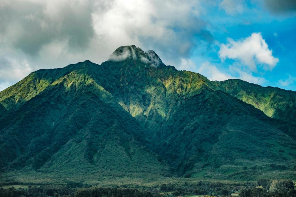 Volcanoes National Park Rwanda