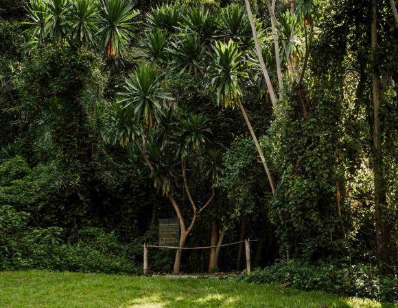 Buhanga Eco Park