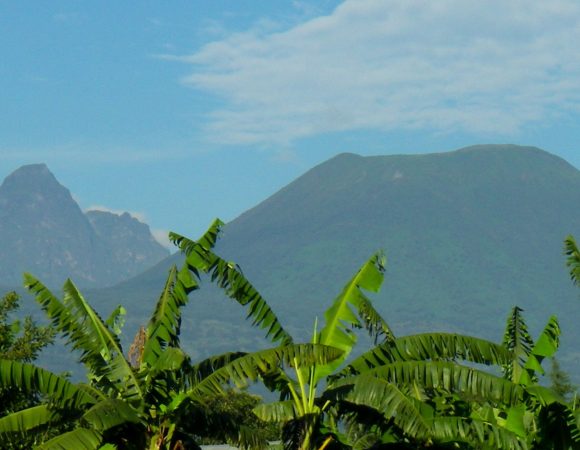 Mt. Bisoke in the distance