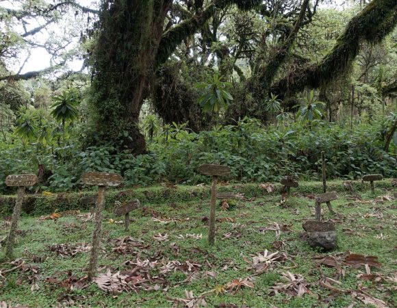 Karisoke Research Station and Dian Fossey Hike