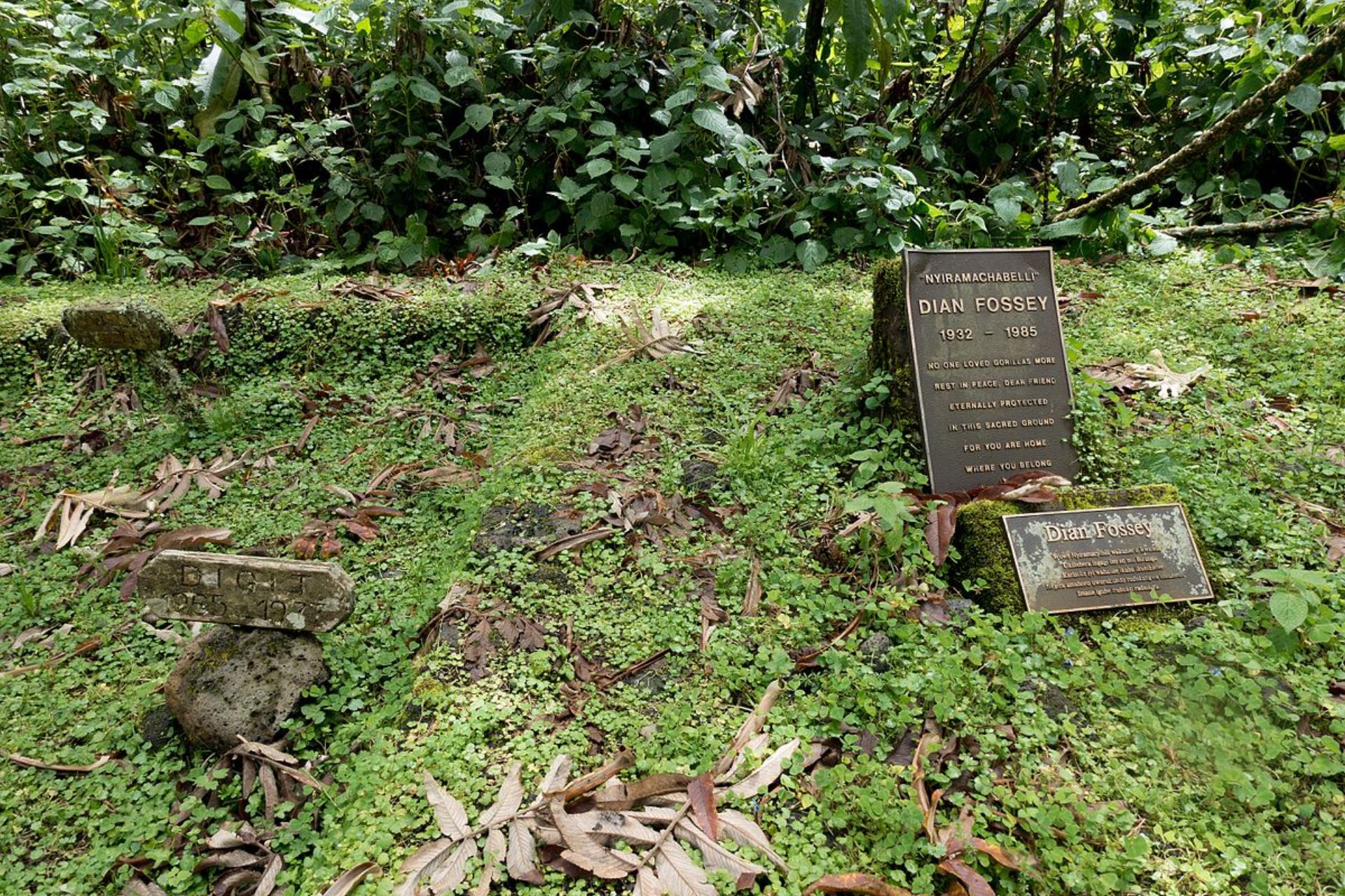 Karisoke Research Station and Dian Fossey Grave (4)