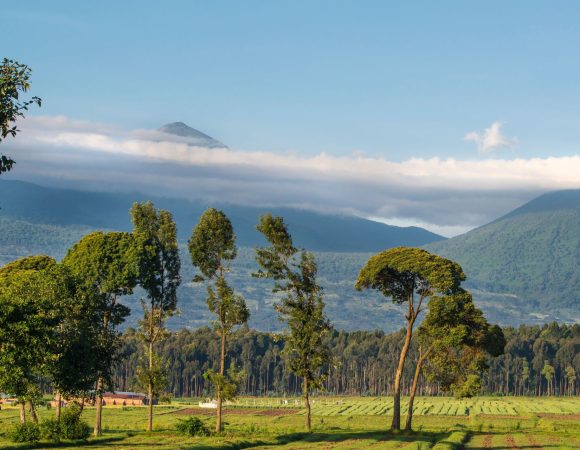 Lake Ngezi Hike