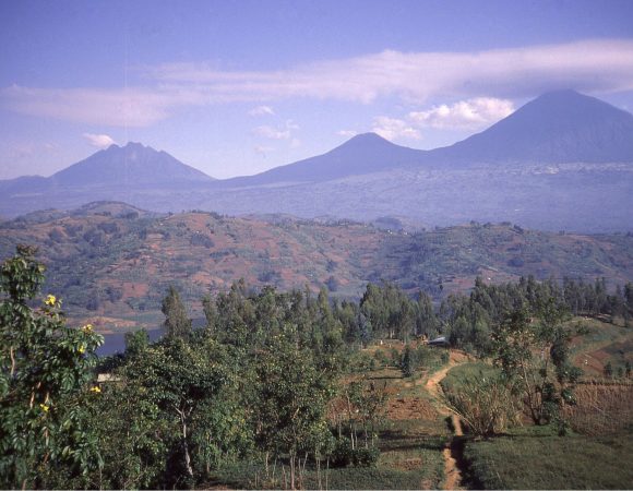 Gahinga in the middle of the northernmost volcanoes