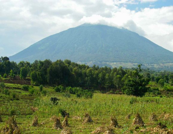 Mount Muhabura with forest and fields in front